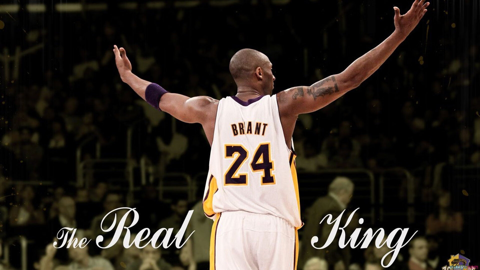 体育场馆安全设施完善，体育场馆的安全问题